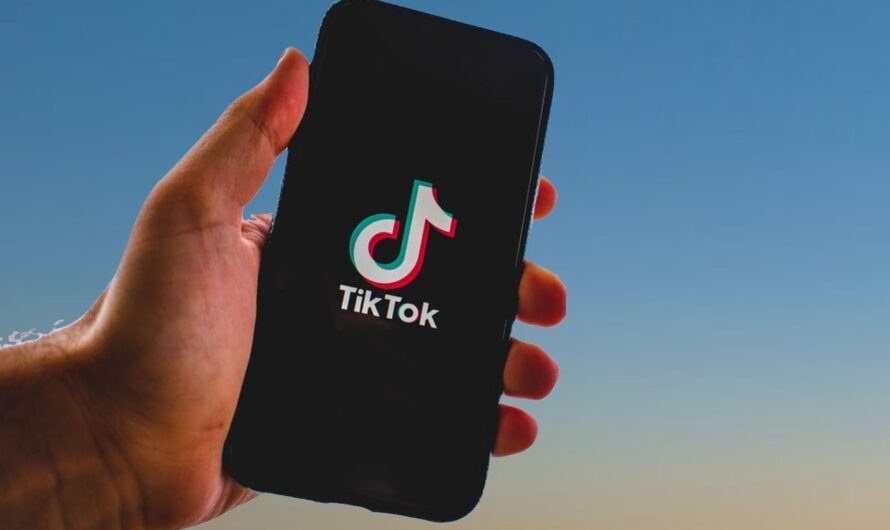 l’e-commerce inspiré du phénomène TikTok