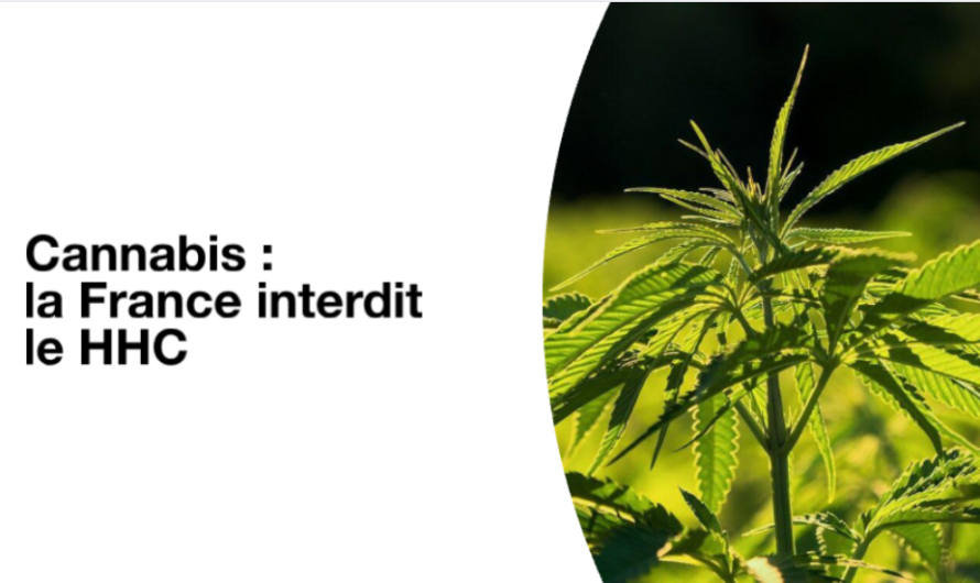 Cannabis : la France interdit le HHC