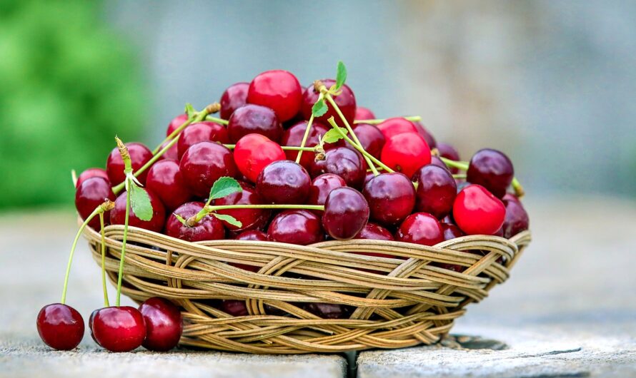 Cerises : Pourquoi elles coûtent un bras cette année ?