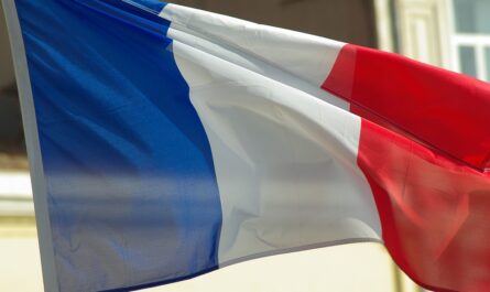 Après l’annus horribilis de 2020, puis les deux années de « rattrapage » qu’ont été 2021 et 2022, la croissance de la France va fortement ralentir. Dans sa note de conjoncture de juin 2023, l’Insee confirme sa…