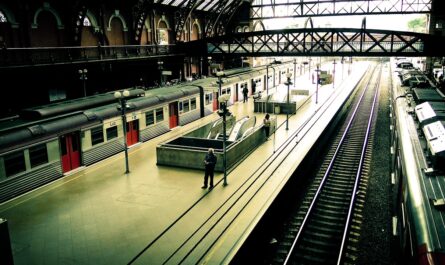 Cet été, prenez le train sans vous ruiner ! Découvrez comment choisir la carte de réduction SNCF qui correspond le mieux à votre profil et faites des économies sur vos voyages.