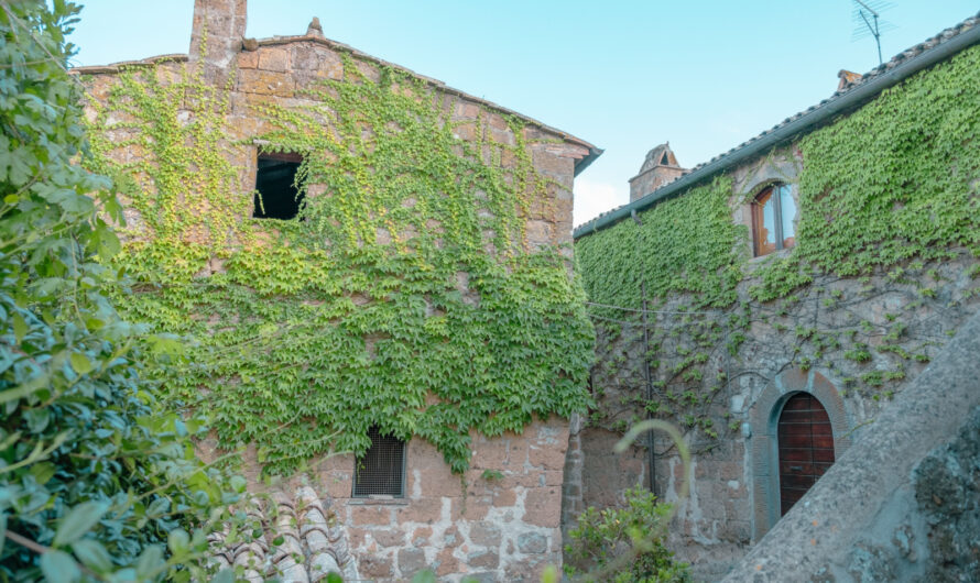 À vendre : hameau complet, pas cher, en Haute-Saône