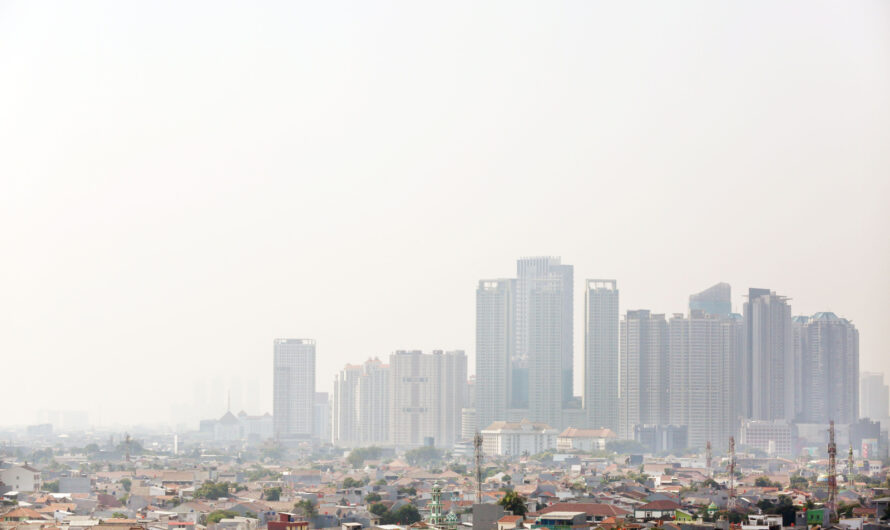 Pollution de l’air : 2,3 ans d’espérance de vie en jeu
