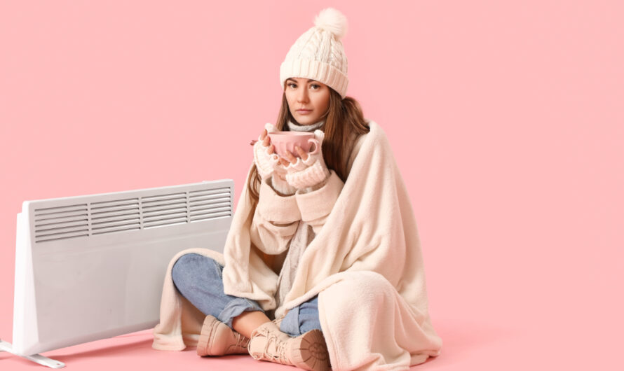 Vague de froid : il y aura de l’électricité pour tout le monde