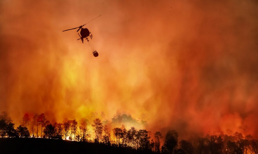 Alerte climat : 1,5 degré de trop pendant 12 mois !