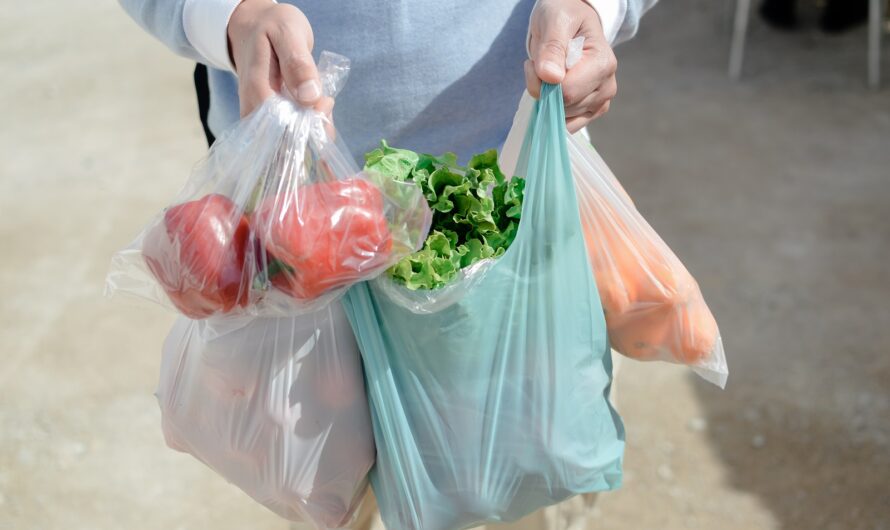 Ecologie : pourquoi le sac plastique fait de la résistance