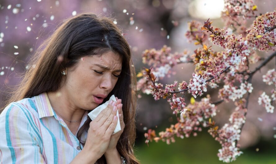 Allergie aux pollens : alerte rouge dans près de 70 départements !