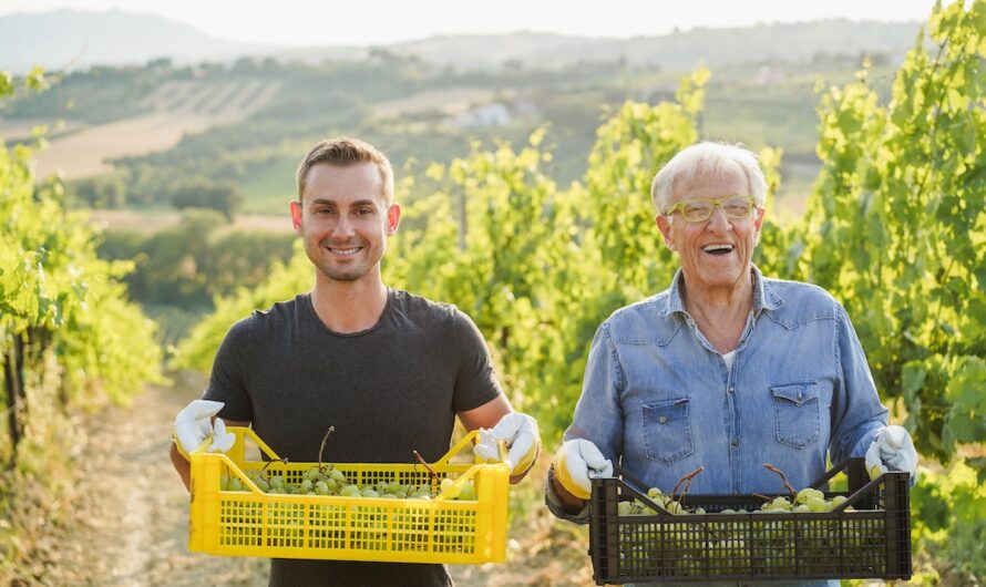 Cocorico ! La France premier producteur de vin au monde, et de loin !