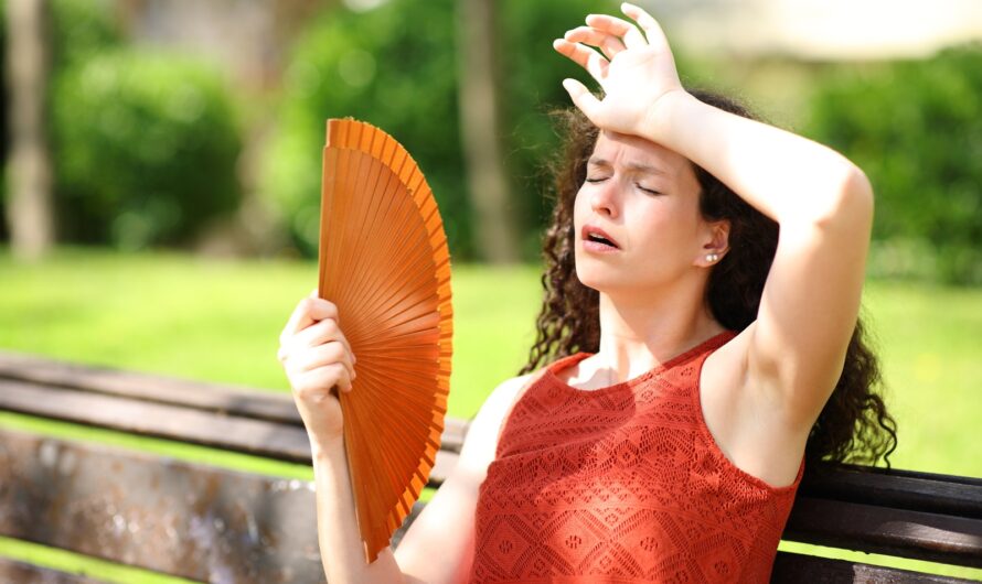 Météo France prévient : l’été 2024 va être très chaud