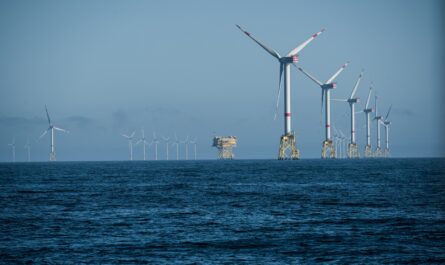 La Fédération Environnement Durable (FED) appelle le Président de la République, Emmanuel Macron, à la sincérité lors de sa visite à Fécamp prévue le mercredi 15 mai 2024 pour l'inauguration du nouveau parc éolien en…