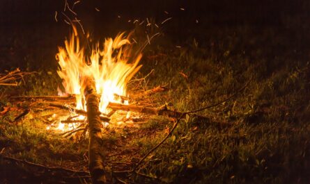 En vigueur dès le 1er janvier 2025, une nouvelle réglementation imposera aux propriétaires dans les zones à fort risque d'incendies de forêt d'informer les futurs locataires et acquéreurs sur l'obligation de débroussailler leur terrain. Par…