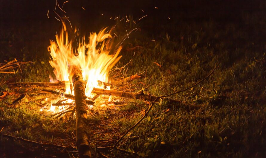 Biens immobiliers : l’obligation d’informer sur le risque de feu de forêt est élargie