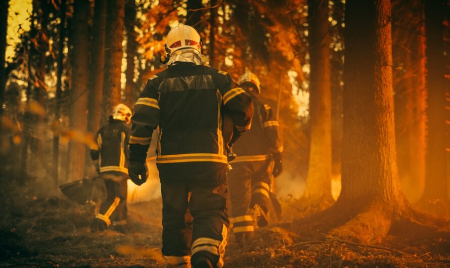 Feux de forêt : évitez les grâce à Google Maps