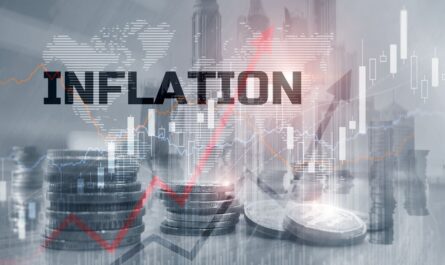 L'Organisation de Coopération et de Développement Économiques (OCDE), un forum regroupant 38 pays, surveille de près les variations des indices des prix à la consommation (IPC) pour analyser les tendances inflationnistes. En mai 2024, selon…