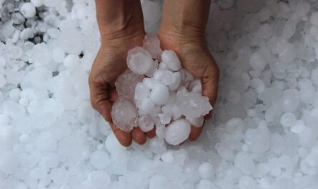 Les tempêtes de grêle, bien que moins fréquentes, pourraient devenir beaucoup plus dévastatrices en raison du changement climatique. C'est du moins ce que semble indiquer une nouvelle étude publiée dans la revue Nature Climate and…