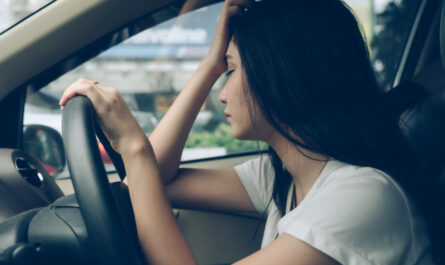 Au mois d'août, le marché automobile français a enregistré une baisse notable des immatriculations, particulièrement marquée pour les voitures électriques qui ont chuté d'un tiers. Ce recul s'inscrit dans un contexte de transformation du marché,…