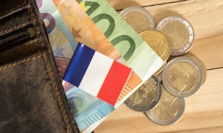 Le budget prévisionnel pour l’année 2025, tel que révélé par des documents internes du gouvernement obtenus par Le Figaro, montre une volonté claire de réduire les dépenses publiques. Comme l’a confirmé Matignon fin août 2024,…