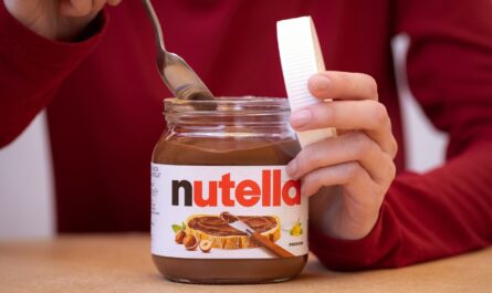 Le 4 septembre 2024 sera une date historique pour les amateurs de Nutella en France, en Italie et en Belgique. Ferrero lance officiellement une version végétalienne de sa célèbre pâte à tartiner aux noisettes. Ce…