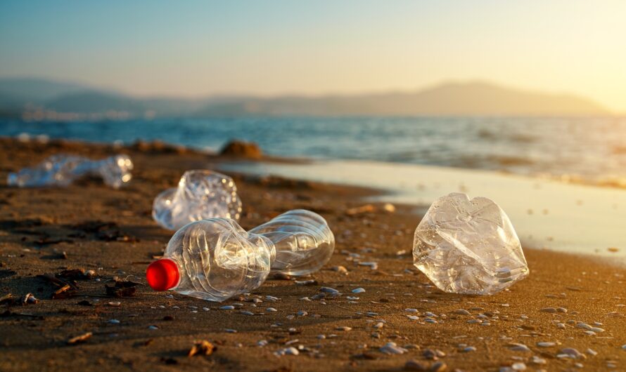 Pollution : les petites bouteilles en plastique bientôt interdites en France ?