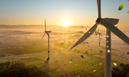 La consommation électrique de la France continue sa descente vertigineuse. En 2024, elle a chuté de 4 % par rapport à l’année précédente, s’établissant à un niveau alarmant de 428 TWh. Cette tendance, amorcée dès 2019,…