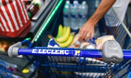 En 2024, le géant de la distribution E.Leclerc a affirmé sa suprématie sur le marché français, enregistrant une hausse impressionnante de 2,6% de ses ventes annuelles, pour atteindre le chiffre record de 49,9 milliards d'euros.…