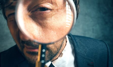Frauder le fisc ou profiter des failles du système social ? L’administration fiscale resserre l’étau et multiplie les contrôles pour enrayer les pertes abyssales que représente la fraude en France. En 2024, Bercy a détecté 20…