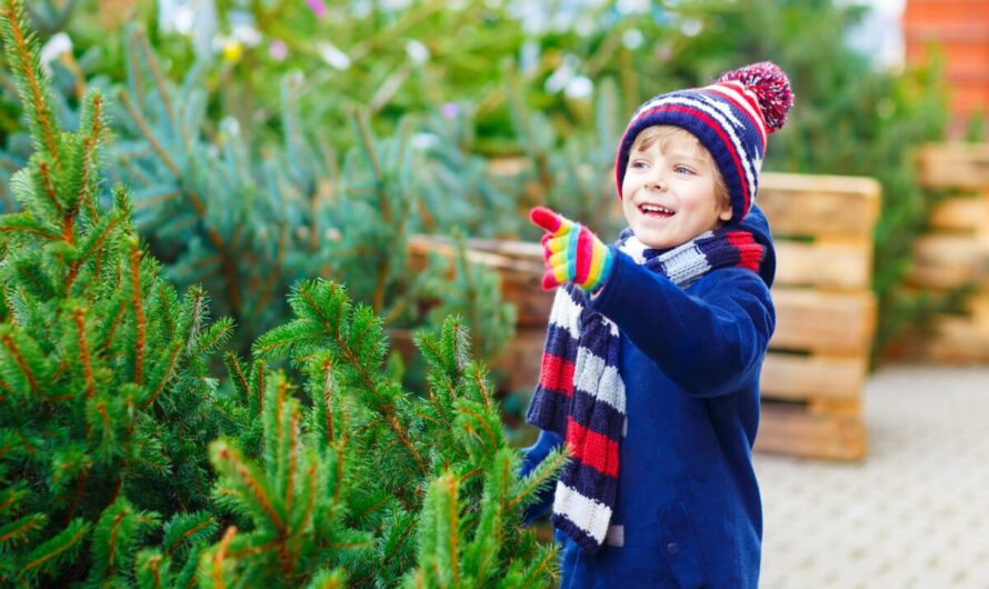 Votre sapin de noël, naturel ou artificiel ?