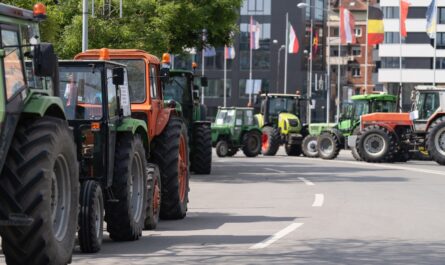 À l'approche du Salon de l'agriculture, la tension monte entre le gouvernement et la FNSEA, le premier syndicat agricole français. La menace d'une reprise des blocages par les agriculteurs plane. La raison ? La FNSEA n’est…