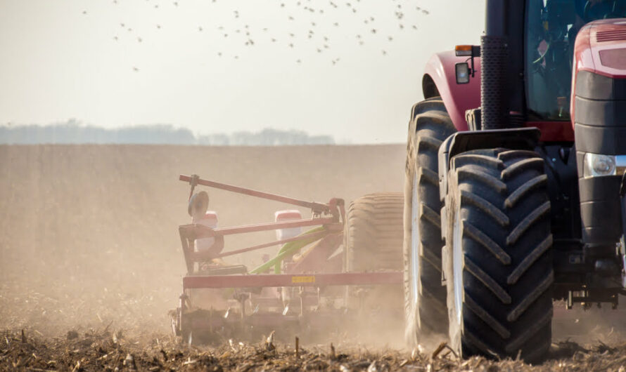 Alimentation : les protéines alternatives peuvent favoriser une agriculture plus durable