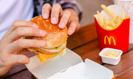 McDonald's fait face à une chute imprévue de ses ventes mondiales, particulièrement marquée en France. Confrontée à une concurrence féroce et à une clientèle plus attentive à ses dépenses, la chaîne américaine de fast-food voit…