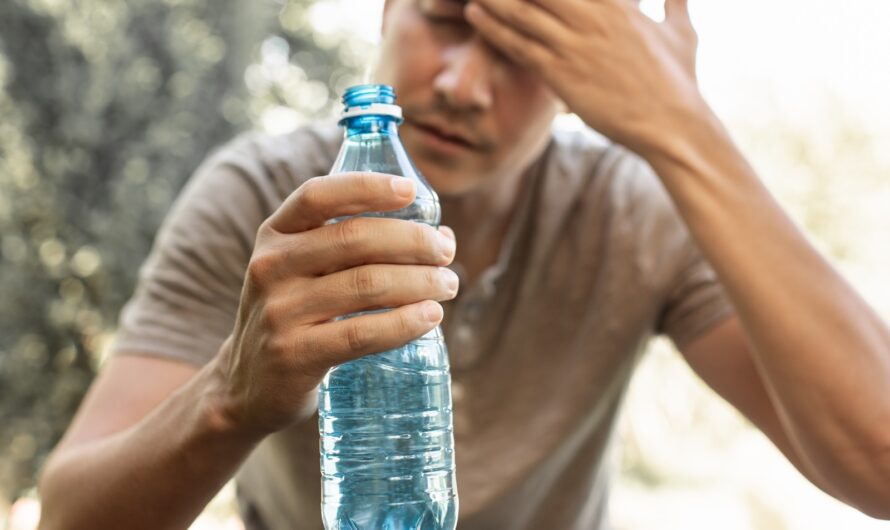 Alerte Canicule : 45 départements en vigilance orange ce 12 août 2024