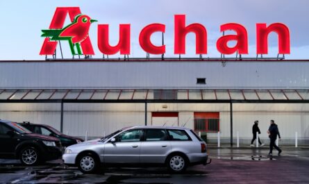 Auchan, distributeur historique du groupe Mulliez, prévoit un vaste plan de restructuration avec la suppression de 2.389 emplois en France, incluant la fermeture de plusieurs magasins. Un choix difficile pour l’enseigne, qui tente de s’adapter…