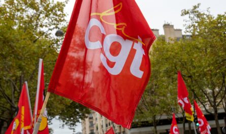 Le 27 novembre 2024, la Confédération Générale du Travail (CGT) a lancé un cri d’alarme face à une vague de licenciements sans précédent. Selon sa secrétaire générale, Sophie Binet, la France pourrait être confrontée à…