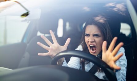 C'est une véritable guerre que mène la mairie de Paris contre les automobilistes. Un arrêté préfectoral entre en vigueur ce lundi 4 novembre 2024. Celui-ci instaure une zone à trafic limité (ZTL) qui interdit la…