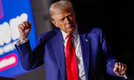 À partir du 2 avril 2025, les importateurs américains devront payer davantage pour certains produits alimentaires étrangers. Donald Trump, fidèle à sa stratégie protectionniste, impose de nouveaux tarifs douaniers sur les importations agricoles.